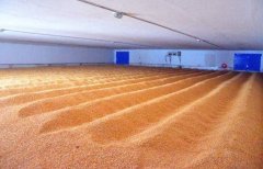 臭氧在糧食倉儲(chǔ)中殺菌消毒防霉的應(yīng)用