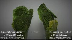 食品加工用臭氧延長保質(zhì)期