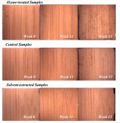 臭氧處理對(duì)真菌生長，化學(xué)成分和代謝的影響