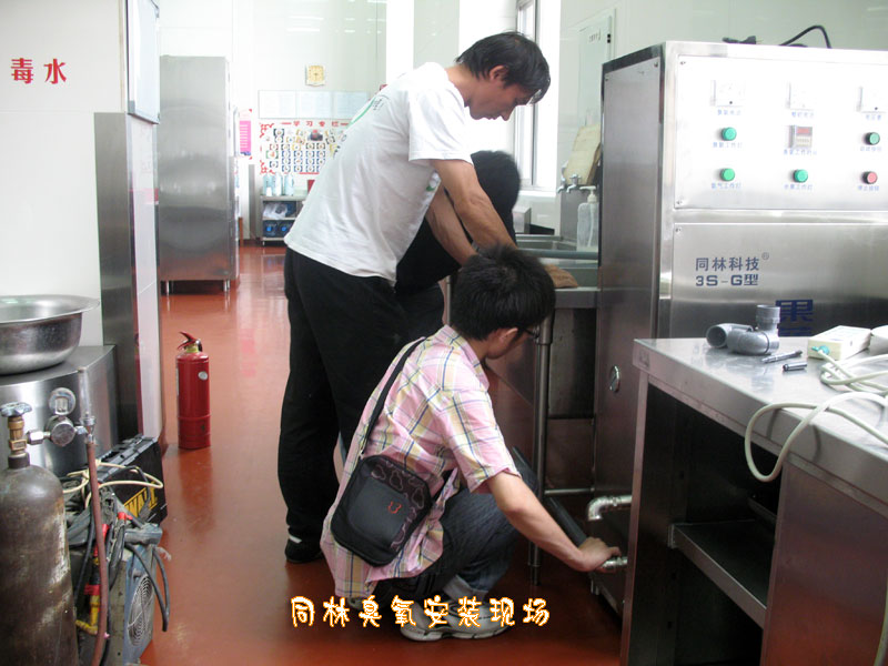 果蔬農藥降解消毒設備