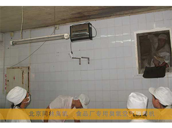 食品廠空氣消毒機使用現場